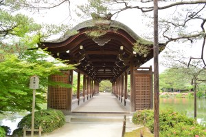 ಜಿಂಗು ಶ್ರೈನ್