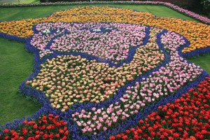 ಟ್ಯೂಲಿಪ್ ಹೂವುಗಳಲ್ಲಿ ವ್ಯಾನ್ ಗೊಘ್