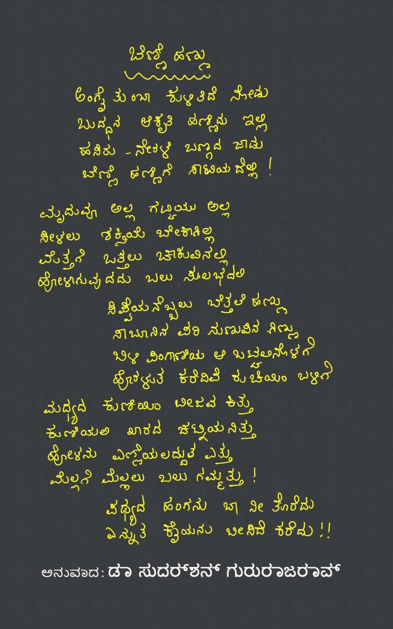 Avocado Translation with name