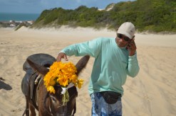 UNADJUSTEDNONRAW_thumb_5ed