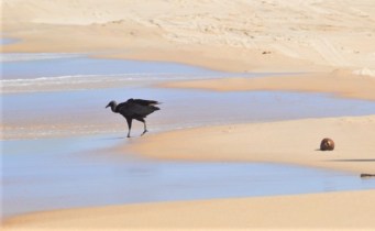 UNADJUSTEDNONRAW_thumb_6fd